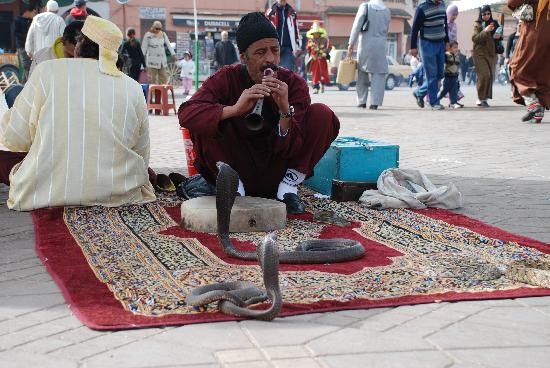 Locul de intalnire Maroc femeie singura caut barbat timișoara